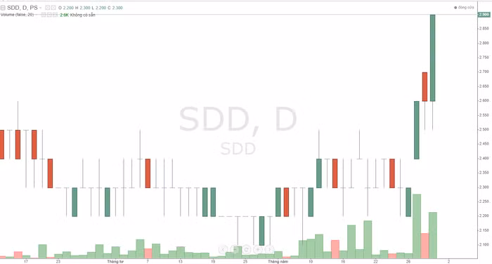 cổ phiếu SDD