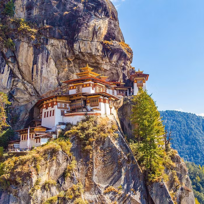 Ảnh: @coxandkings_uk/Instagram