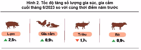 chăn nuôi