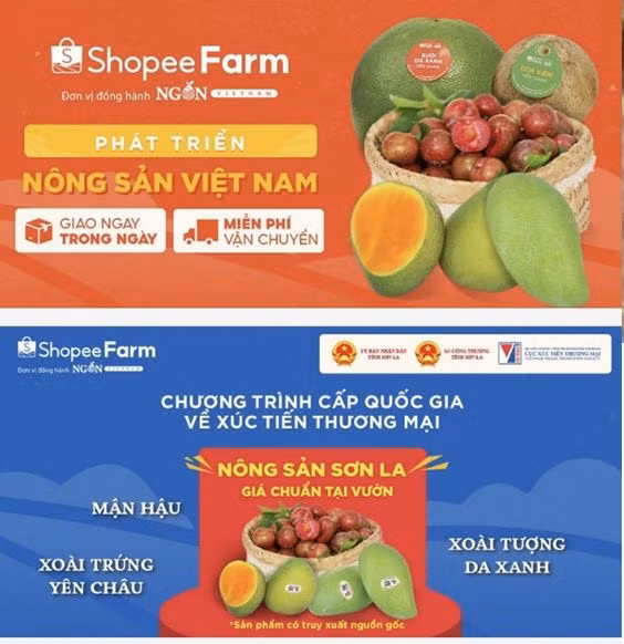 Sản phẩm miền núi Việt “lên mạng” vươn ra thế giới