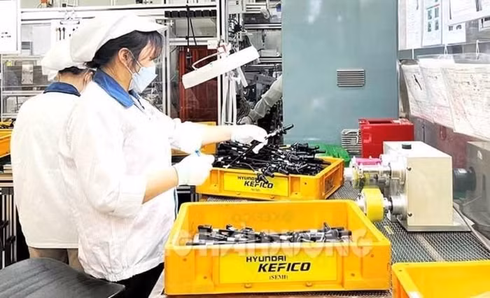 Tháng 1/2023, Hải Dương thu hút 5 dự án FDI mới