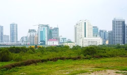Năm 2018 Thanh tra Chính phủ kiến nghị thu hồi 1.007 ha đất