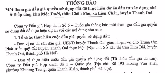 đấu giá