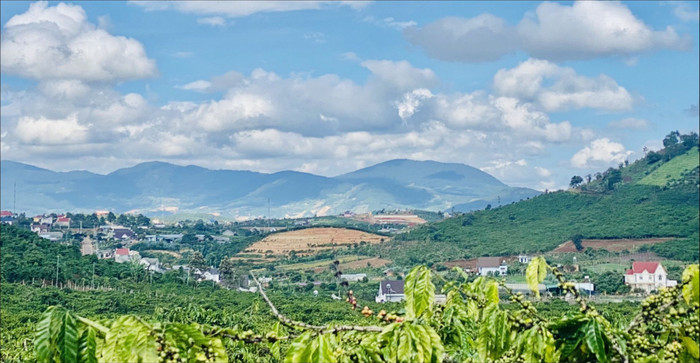 Lâm Đồng: Giấy Tân Mai xin chuyển 118 ha đất trồng rừng để làm khu dân cư