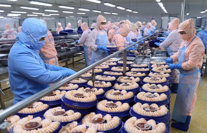Hà Nội: Kim ngạch xuất khẩu hàng hóa tháng 5 tăng 2,5% so với cùng kỳ