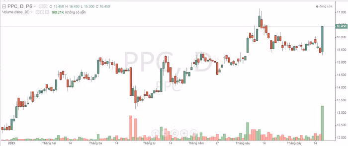 Diễn biến cổ phiếu PPC trong thời gian qua
