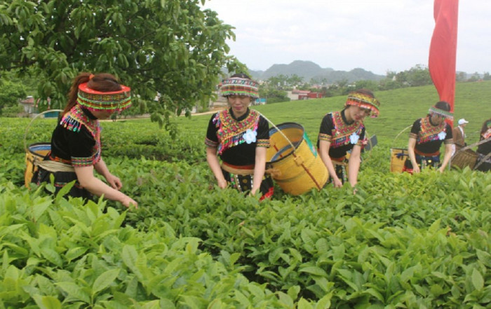 GTNfoods bị phạt, truy thu thuế hơn 233 triệu đồng