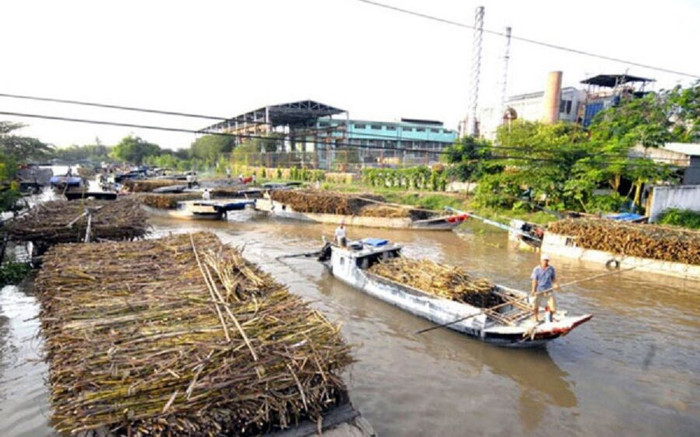 Hiệp hội Mía đường Việt Nam: Đường tồn kho tăng trở lại