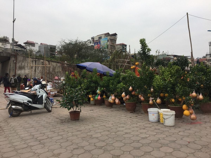 Người Hà Nội tấp nập đi sắm Tết ảnh 4 Người Hà Nội tấp nập đi sắm Tết ảnh 4