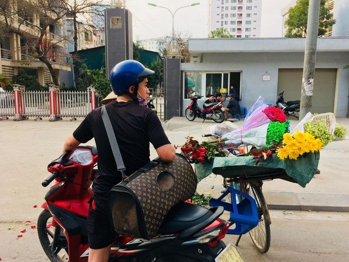 Hà Nội rộn ràng sắc hoa cận ngày quốc tế phụ nữ ảnh 6