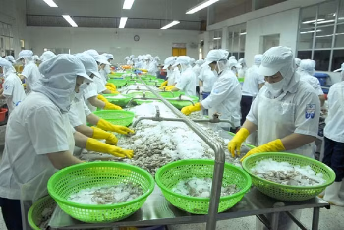 Hơn nửa lượng tôm nhập khẩu của Hàn Quốc đến từ Việt Nam