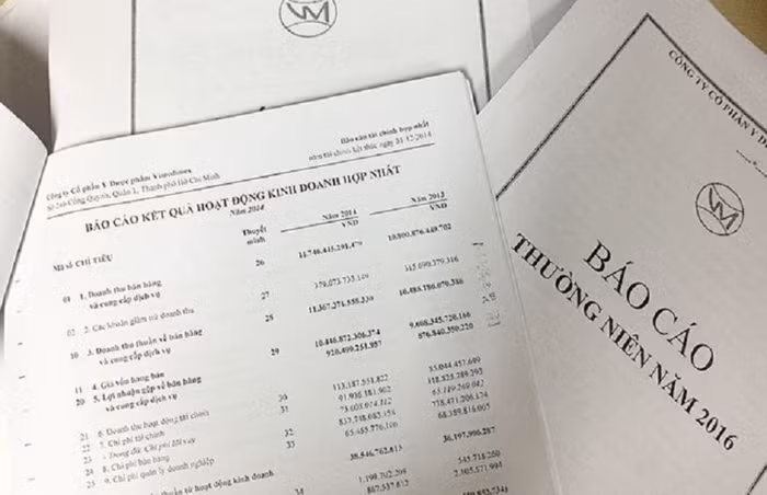 Vimedimex mập mờ công bố thông tin tài chính