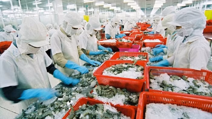 Xuất khẩu thủy sản khởi sắc, nhiều doanh nghiệp ‘bùng nổ’ lợi nhuận