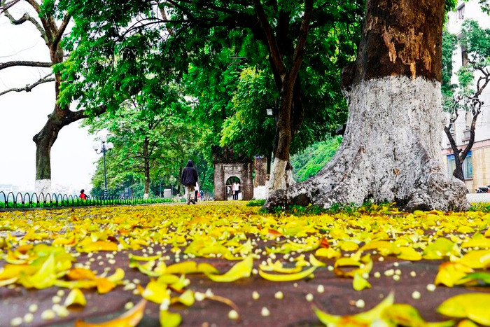 Hà Nội... Thương gia và tôi...