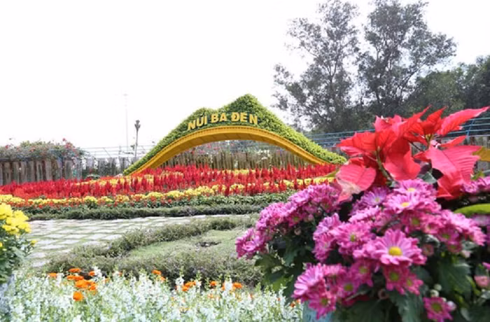Ngắm nhìn Núi Bà Tây Ninh đẹp vi diệu những ngày đầu xuân