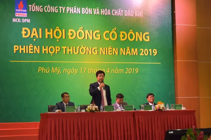 Đại hội đồng cổ đông 2019 Đạm Phú Mỹ: Doanh thu 8.645 tỷ đồng, cổ tức 10% ảnh 2
