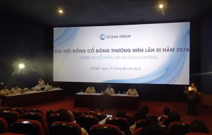 Loại bỏ tư cách cổ đông của Hà Bảo tại Ocean Group là không có căn cứ