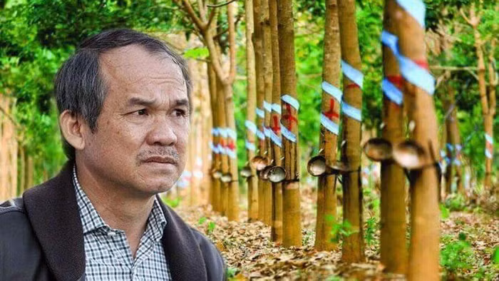 HNG không được giao dịch ký quỹ