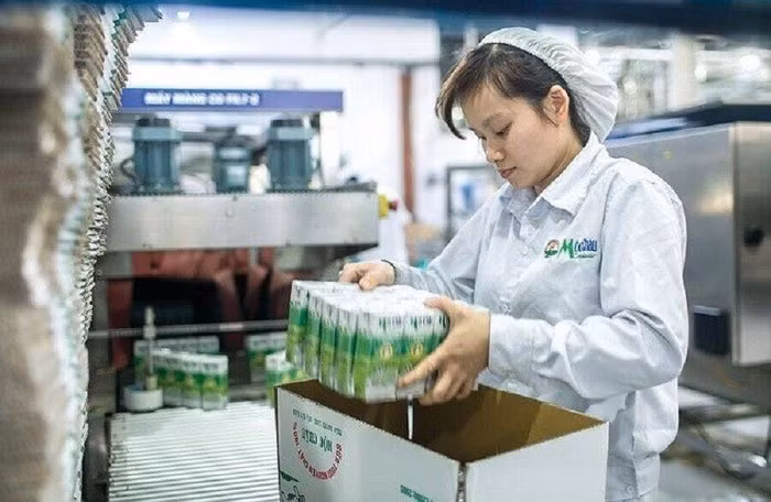 Cổ đông lớn liên tiếp thoái vốn tại GTNfoods trong đợt chào mua của Vinamilk