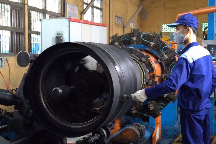 Mất quyền ứng cử vào HĐQT, nhà đầu tư hủy tham gia đấu giá cổ phần Cao su Sao Vàng