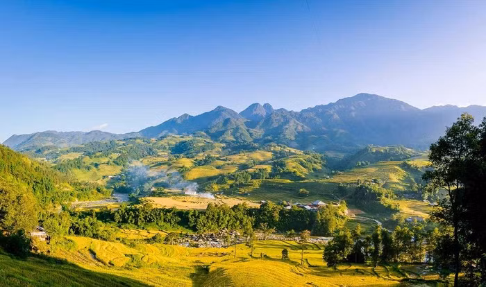 Ngỡ ngàng với mùa vàng Sa Pa