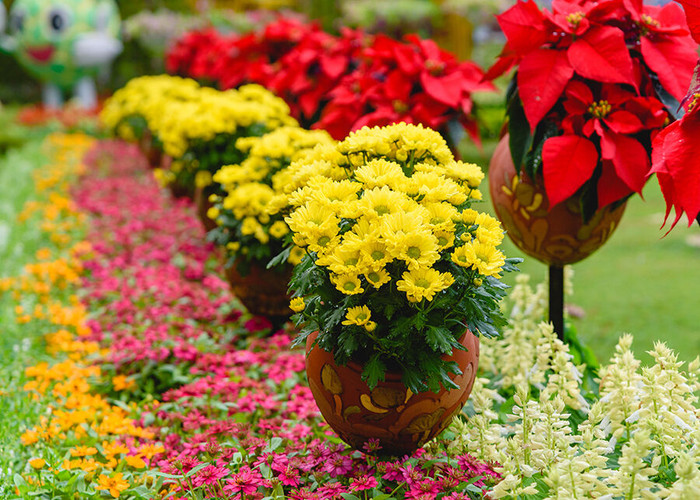 Đầu năm mới chiêm bái khu trưng bày nghệ thuật Phật giáo mới ra mắt tại núi Bà Tây Ninh ảnh 3 Đầu năm mới chiêm bái khu trưng bày nghệ thuật Phật giáo mới ra mắt tại núi Bà Tây Ninh ảnh 3