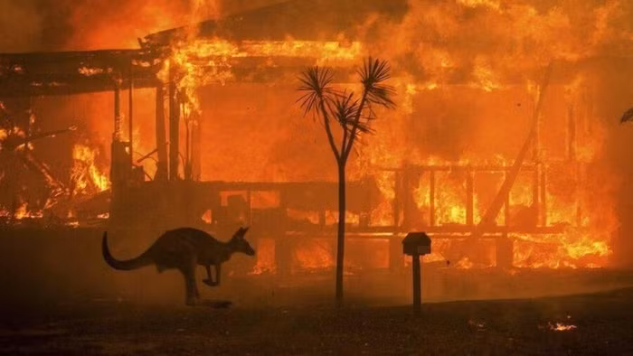 Một sinh viên đệ đơn kiện chính phủ Úc vì các vấn đề biến đối khí hậu