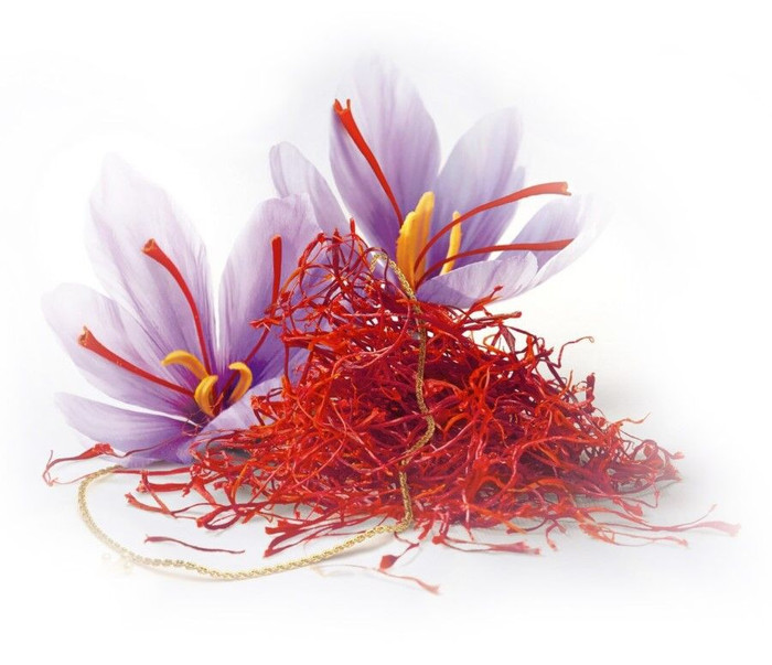 Negin là loại cao cấp và đắt đỏ nhất trong các dòng Saffron Negin là loại cao cấp và đắt đỏ nhất trong các dòng Saffron