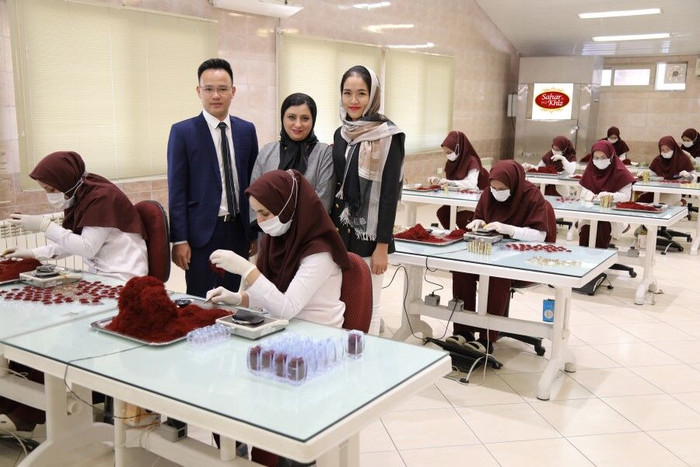 Nổi tiếng và lâu đời nhất về thương hiệu Saffron ở Iran là Saffron Saharkhiz , được thành lập từ năm 1932, nằm ở thủ phủ Mashhad của Iran Nổi tiếng và lâu đời nhất về thương hiệu Saffron ở Iran là Saffron Saharkhiz , được thành lập từ năm 1932, nằm ở thủ phủ Mashhad của Iran