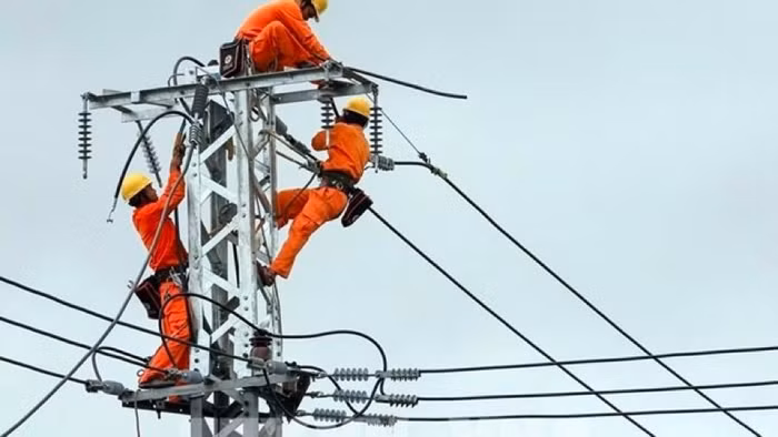 Xây dựng điện VNECO4
