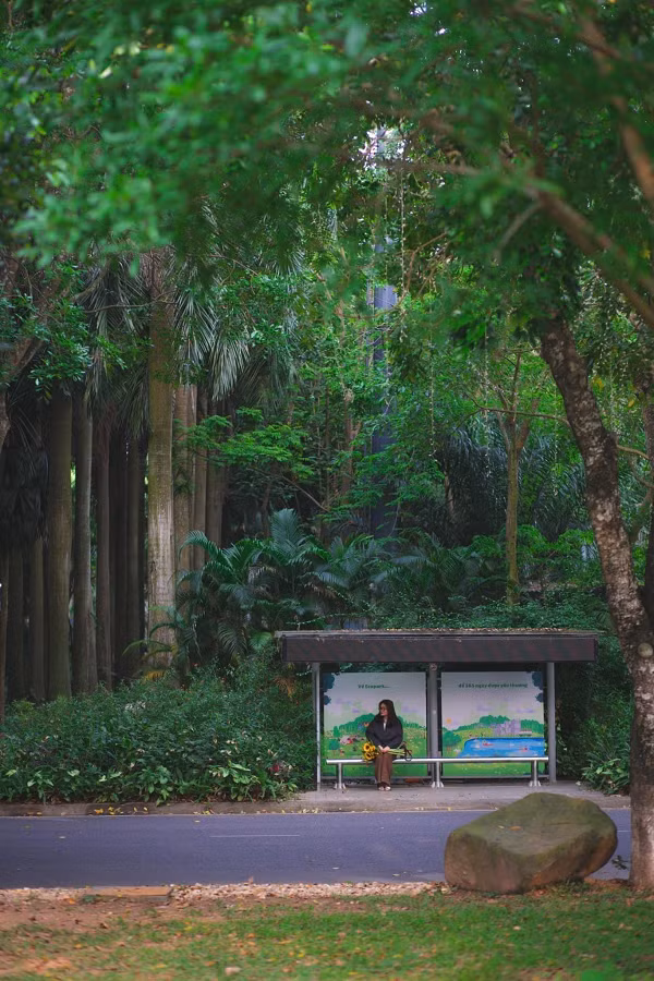  Cư dân đợi xe bus trong “khu rừng” mang tên Ecopark