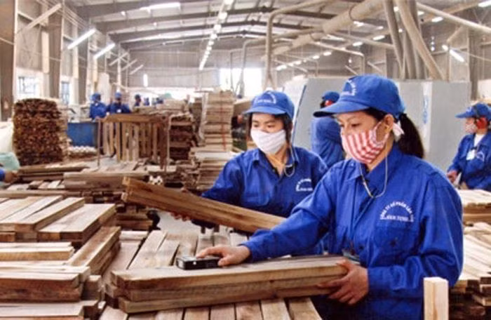 Gỗ Trường Thành (TTF) 