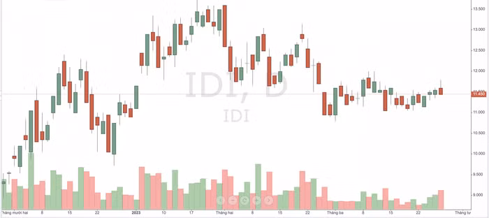 Công ty Cổ phần Đầu tư và Phát triển Đa Quốc Gia IDI