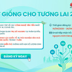 Huawei Việt Nam khởi động mùa thứ 10 chương trình "Hạt giống cho tương lai": Một thập kỷ phát triển nguồn nhân tài ICT đất Việt