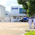 5 triệu ống hút nhựa biến mất, Vinamilk mở rộng đơn hàng xuất khẩu