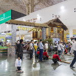 Hành trình xuyên Việt trong lòng VEC: 34 tỉnh, thành kể chuyện bằng sản vật tại Hội chợ Mùa thu lần thứ nhất 2025