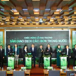 Ông Phạm Quang Tùng, Ủy viên HĐQT đại diện BIDV cùng Lãnh đạo các Cơ quan quản lý thực hiện nghi thức khai trương phiên giao dịch đầu tiên của Sàn giao dịch các-bon trong nước