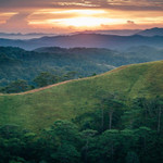 Con đường của những thương gia nguyên thủy