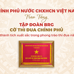 Tập đoàn BRG là tập đoàn kinh tế duy nhất của Hà Nội được trao tặng Cờ Thi đua Chính phủ năm 2024