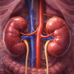 Chức năng lọc thận kém - Bạn chớ chủ quan!