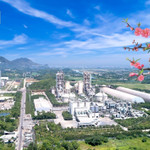 Xi măng Long Sơn – Chúc mừng năm mới xuân Bính Ngọ 2026