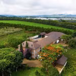 Dalatmilk ra mắt “Sữa tươi thanh trùng hương chuối” kết hợp hoàn toàn từ sữa tươi cao nguyên và hương chuối tự nhiên