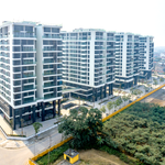 Sunshine Group livestream đặt giá căn hộ vào 1/7 chỉ với giá khởi điểm bằng 50% giá thị trường