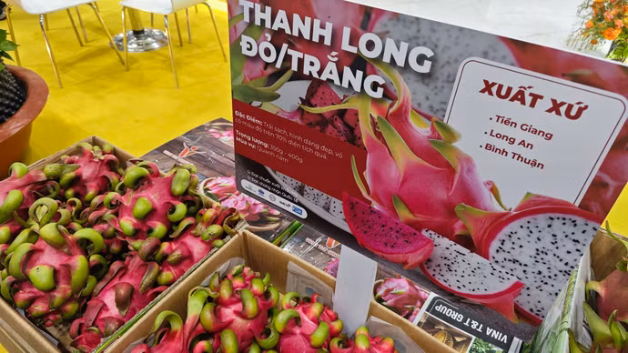 Loạt quy định SPS mới từ các thị trường lớn gia tăng áp lực lên nông sản Việt