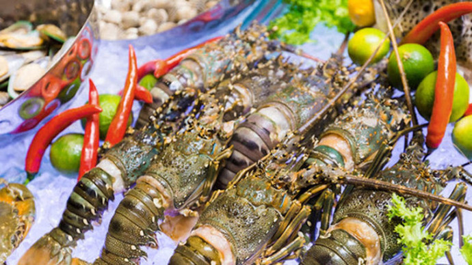 Tôm hùm xanh Việt Nam “đắc lợi” giữa cơn khát hải sản cao cấp của Trung Quốc