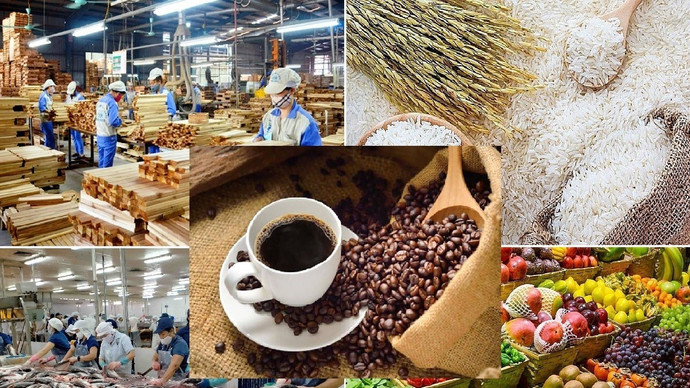 Xuất khẩu đầu năm 2026 khởi sắc: Cà phê vươn lên đầy triển vọng