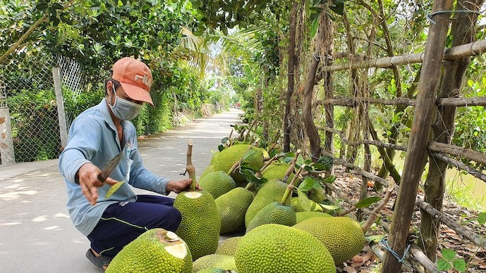 Xuất khẩu rau quả Việt Nam lập kỷ lục, Trung Quốc tạo "bàn đạp" cho năm 2026