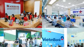 Quán quân lợi nhuận ngành ngân hàng tiếp tục báo lãi kỷ lục, những ai đang theo sát?