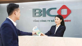 Bảo hiểm BIC chi 176 tỷ đồng trả cổ tức bằng tiền, tăng vốn trên 2.000 tỷ đồng