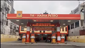 Gây thất thoát hơn 317 tỷ đồng, nữ Chủ tịch Hải Hà Petro bị đề nghị truy tố